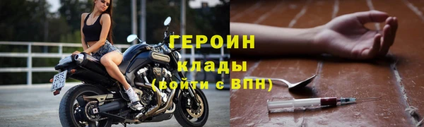 дмт Гусев