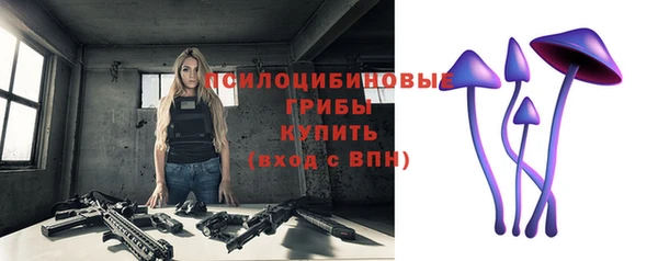 дмт Гусев