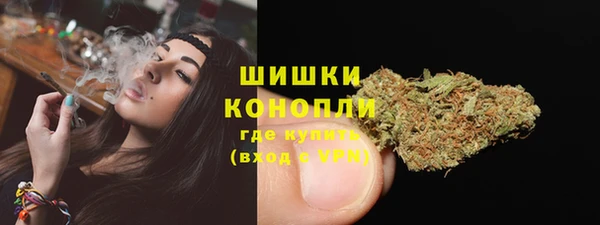 дмт Гусев