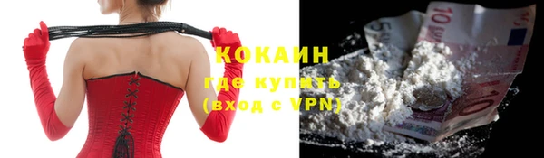 дмт Гусев
