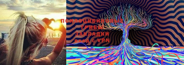 дмт Гусев