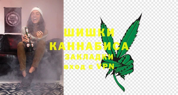 дмт Гусев
