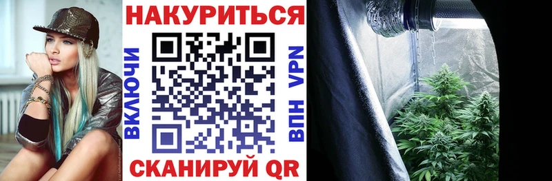 купить  цена  Туран  Бошки марихуана сатива 